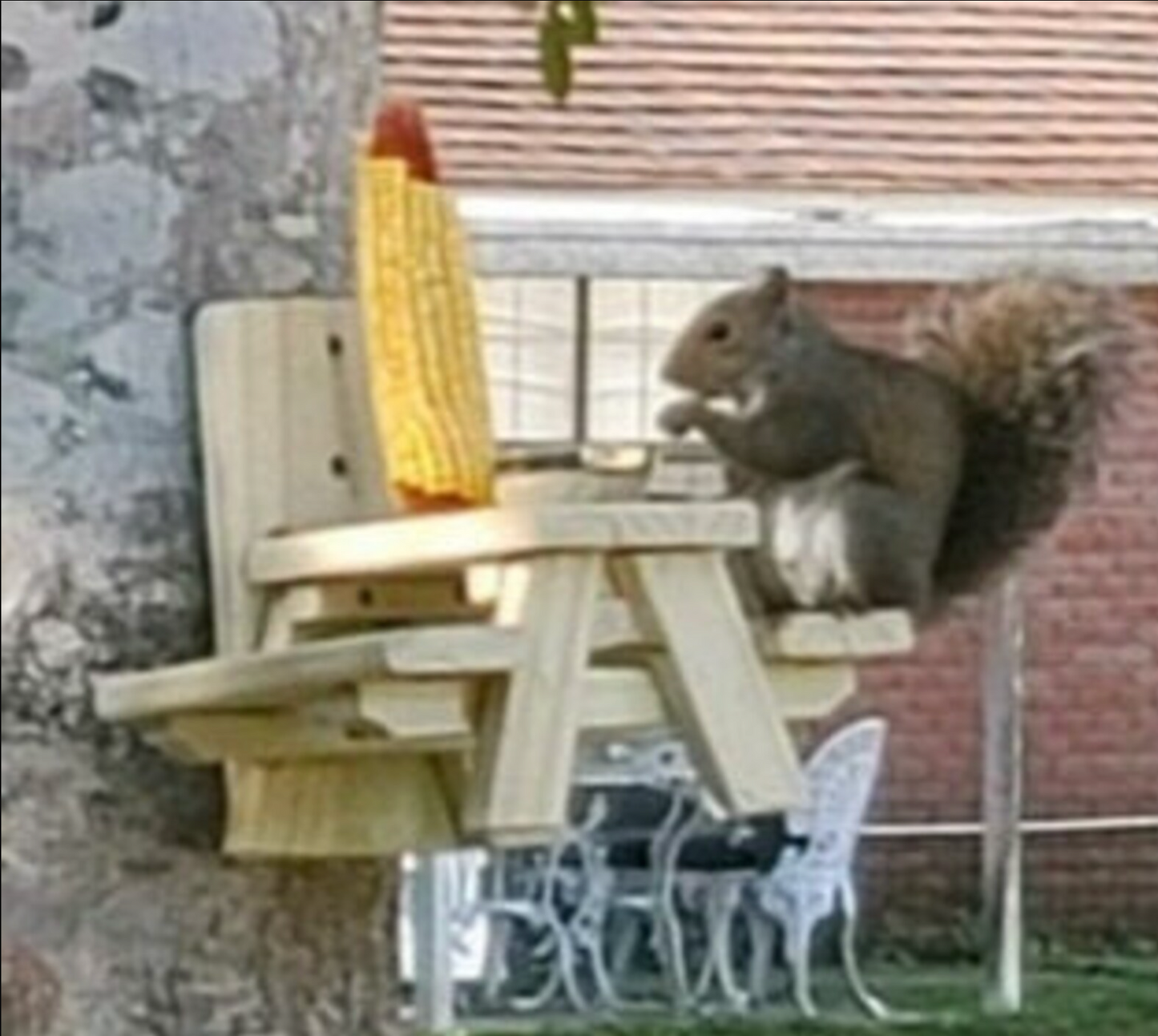 Squirrel Picnic Table